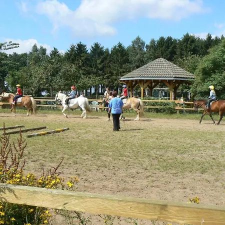 Ferienhof Frohne - Up Den Heibalken Merzen
