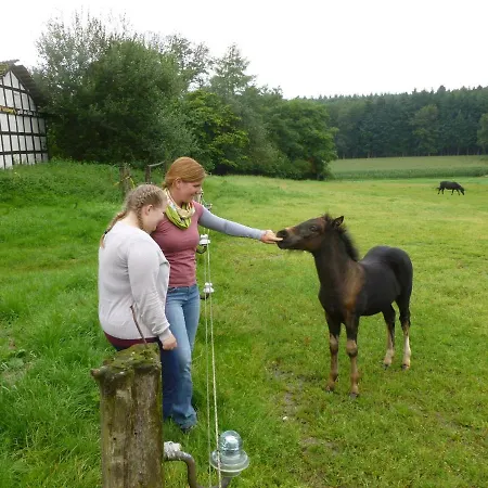 Ferienhof Frohne - Up Den Heibalken Merzen