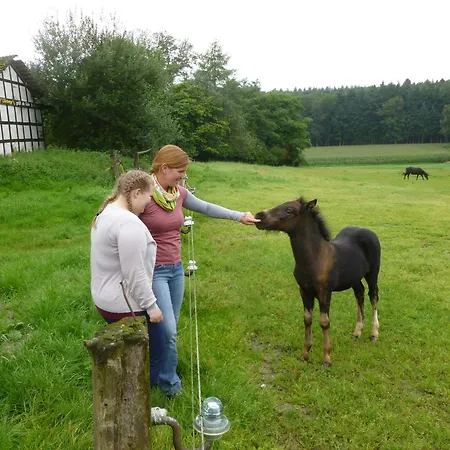Ferienhof Frohne - Up Den Heibalken *